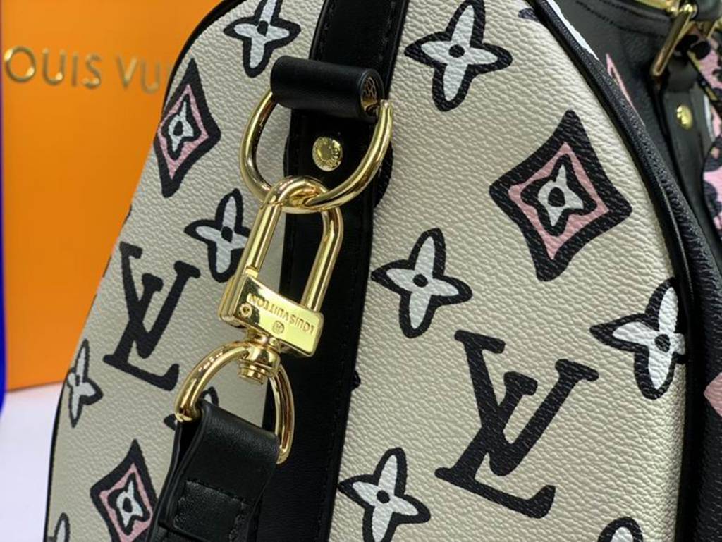 LV Travel Bag