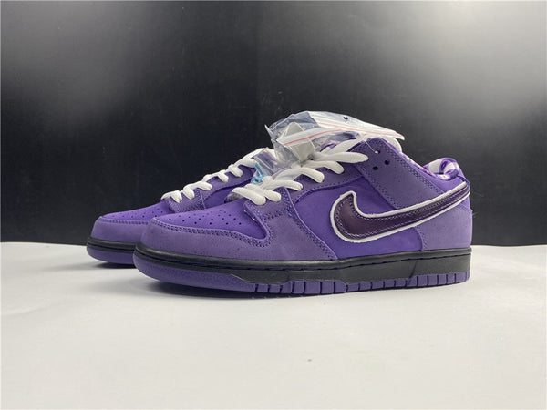 Nike SB Dunk Low x Concepts