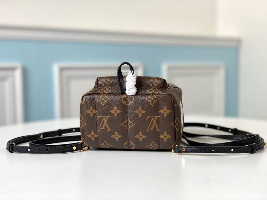 LV Backpack