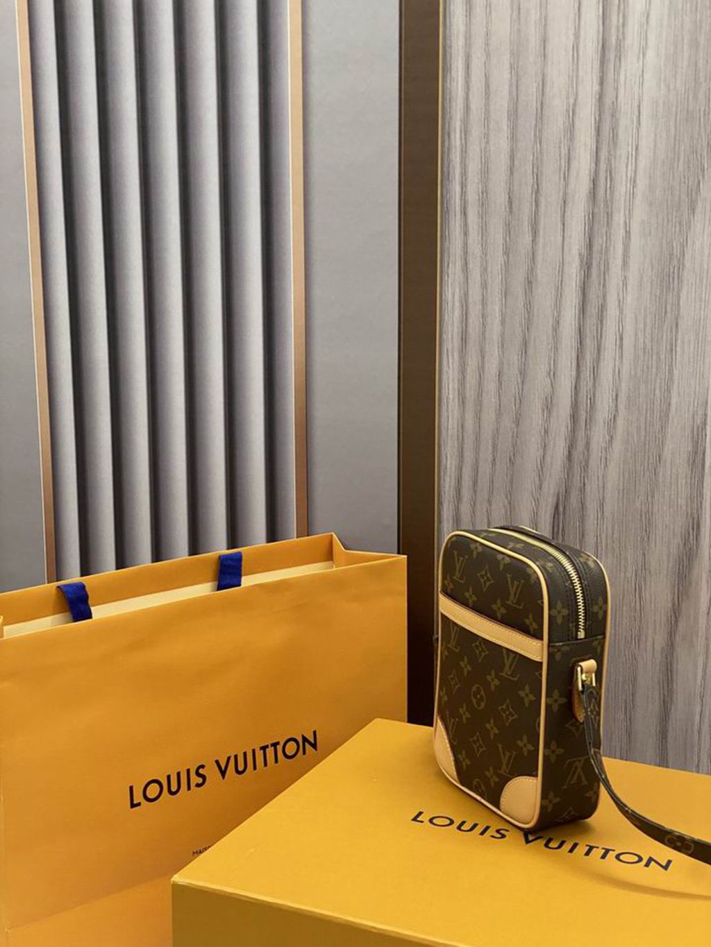 LV Camera Bag