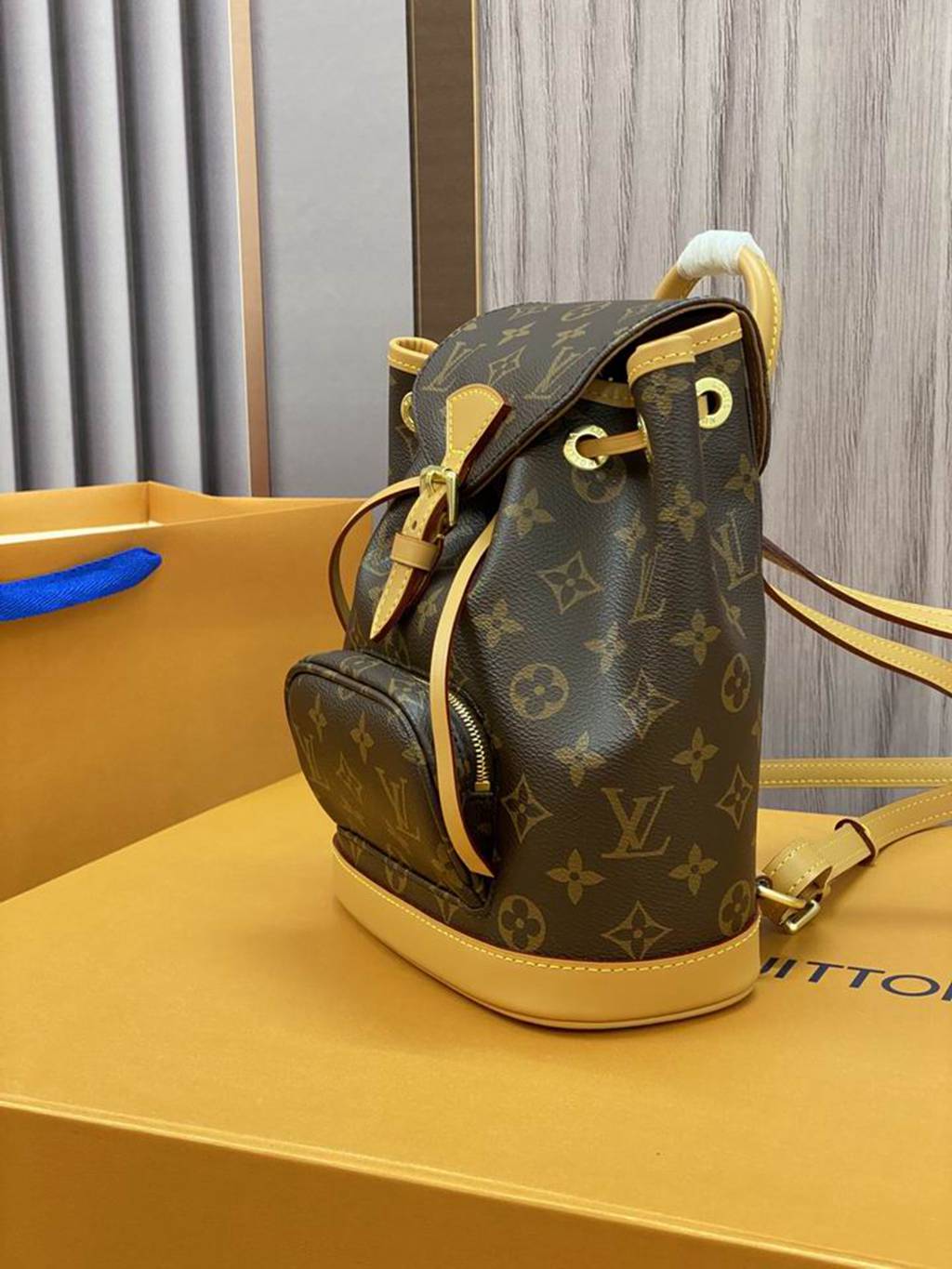 LV Backpack