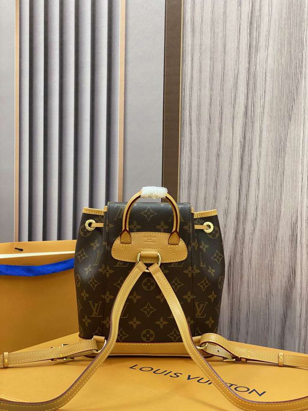 LV Backpack