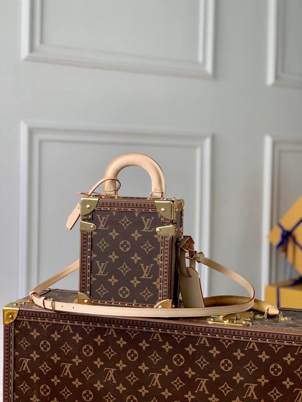 LV Camera Bag