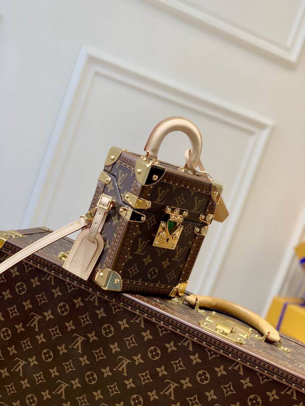 LV Camera Bag