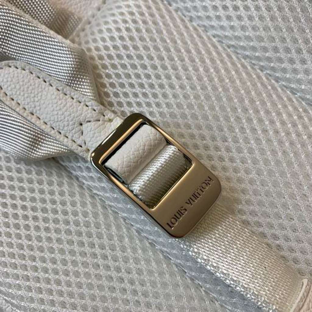 LV Backpack