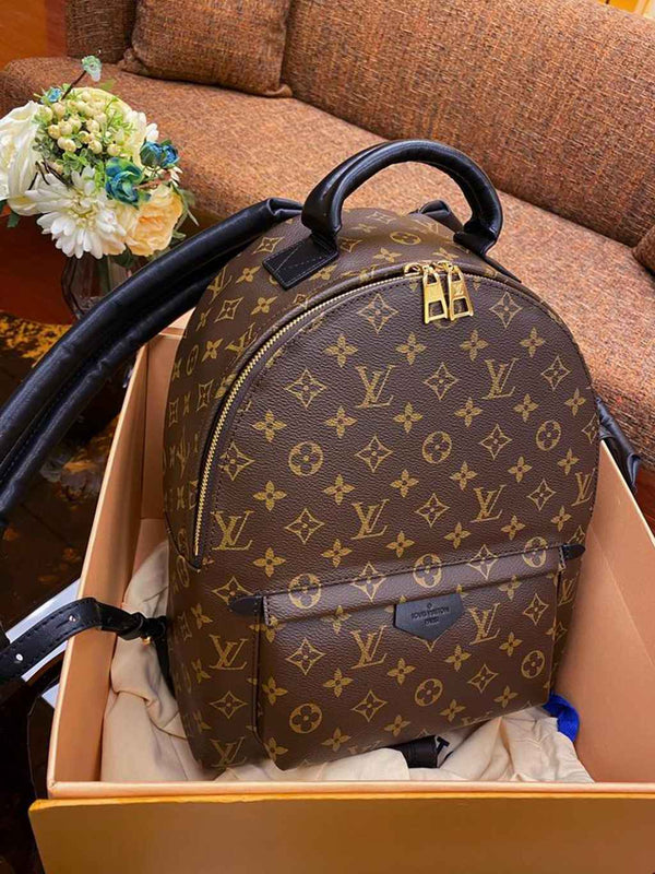 LV Backpack