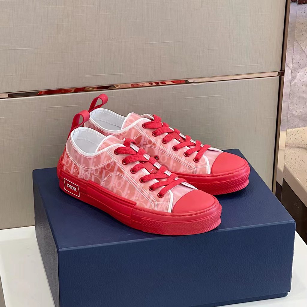 Dior sneakers