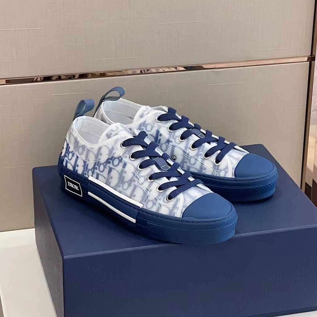 Dior sneakers