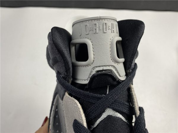 Air Jordan 6 WMNS Tech Chrome