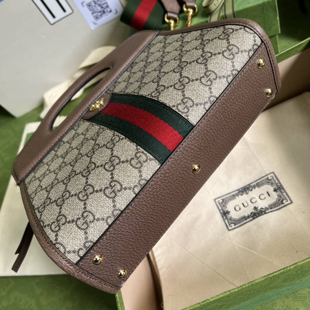 gucci bag