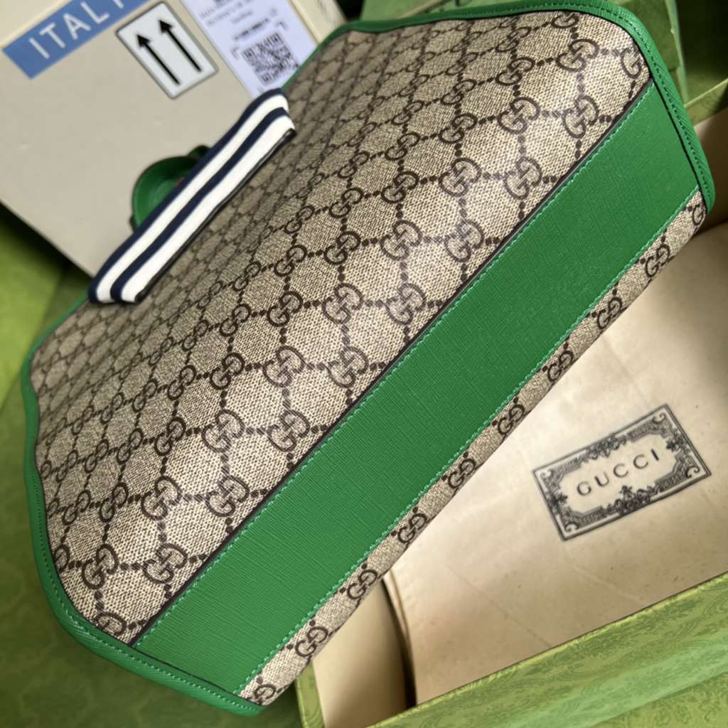 gucci bag