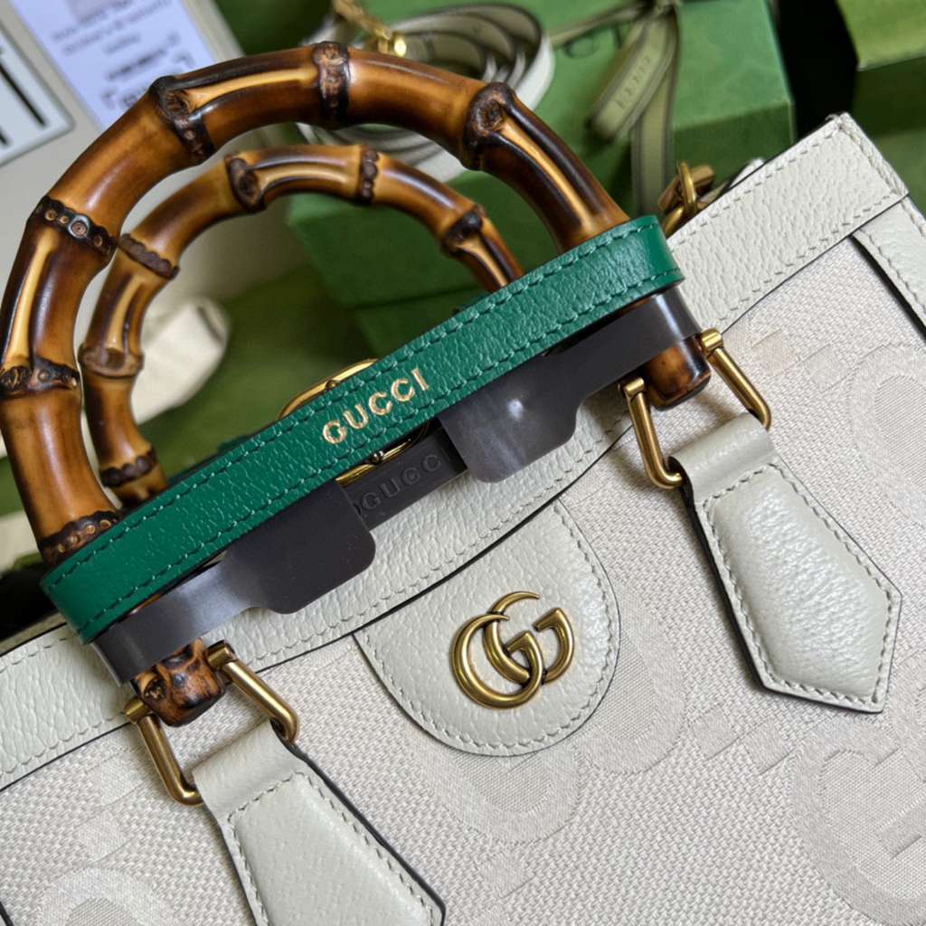 gucci bag