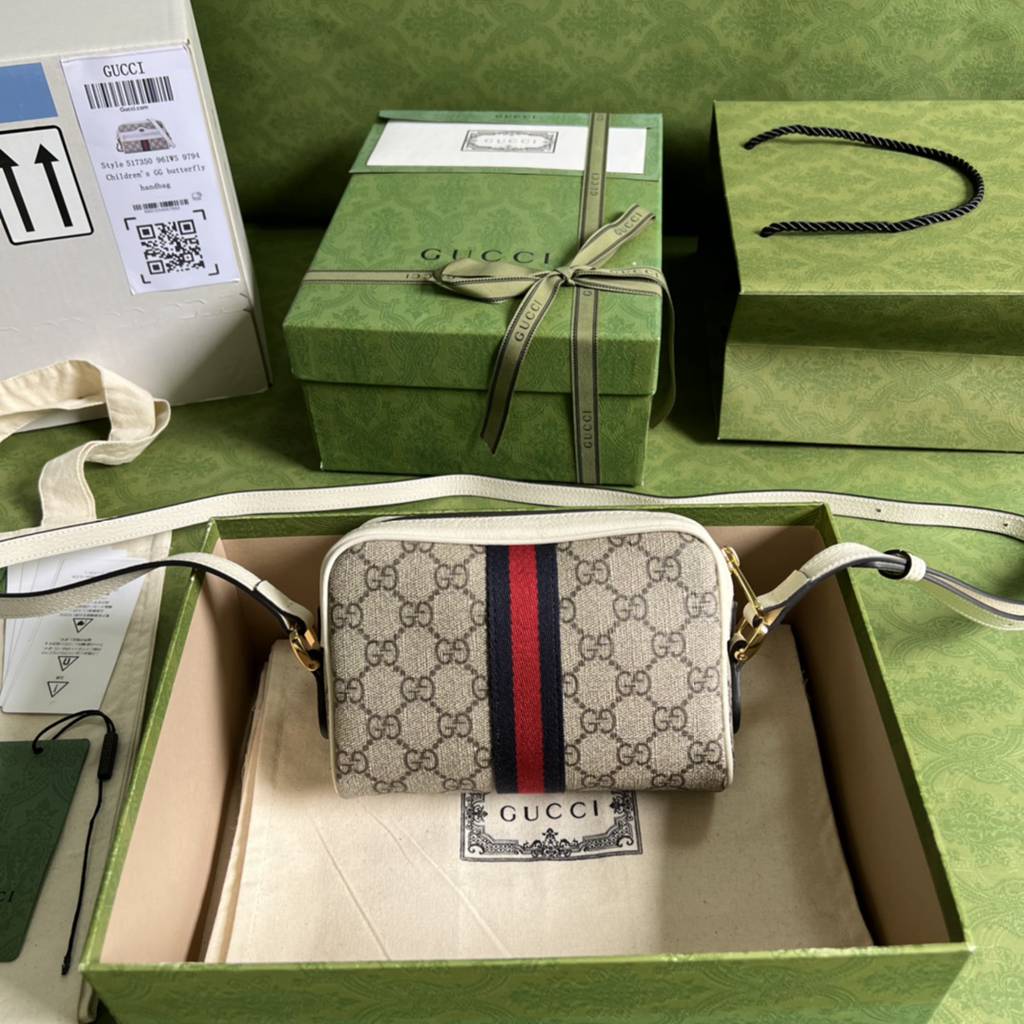 gucci bag