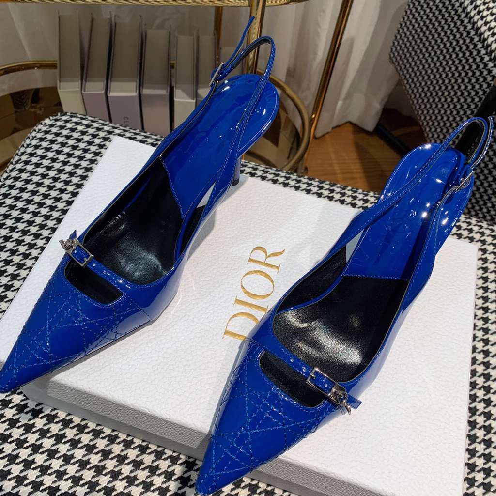 Dior sneakers