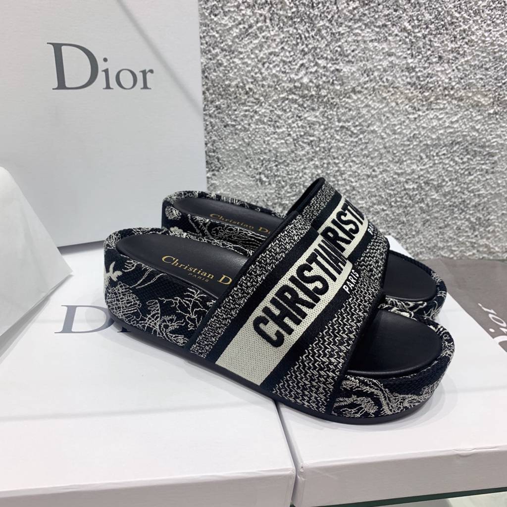 Dior sneakers